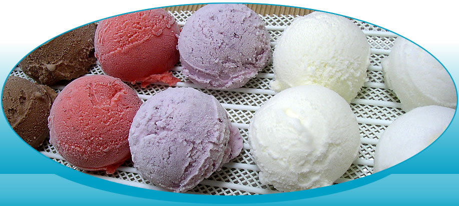 gelat sabors